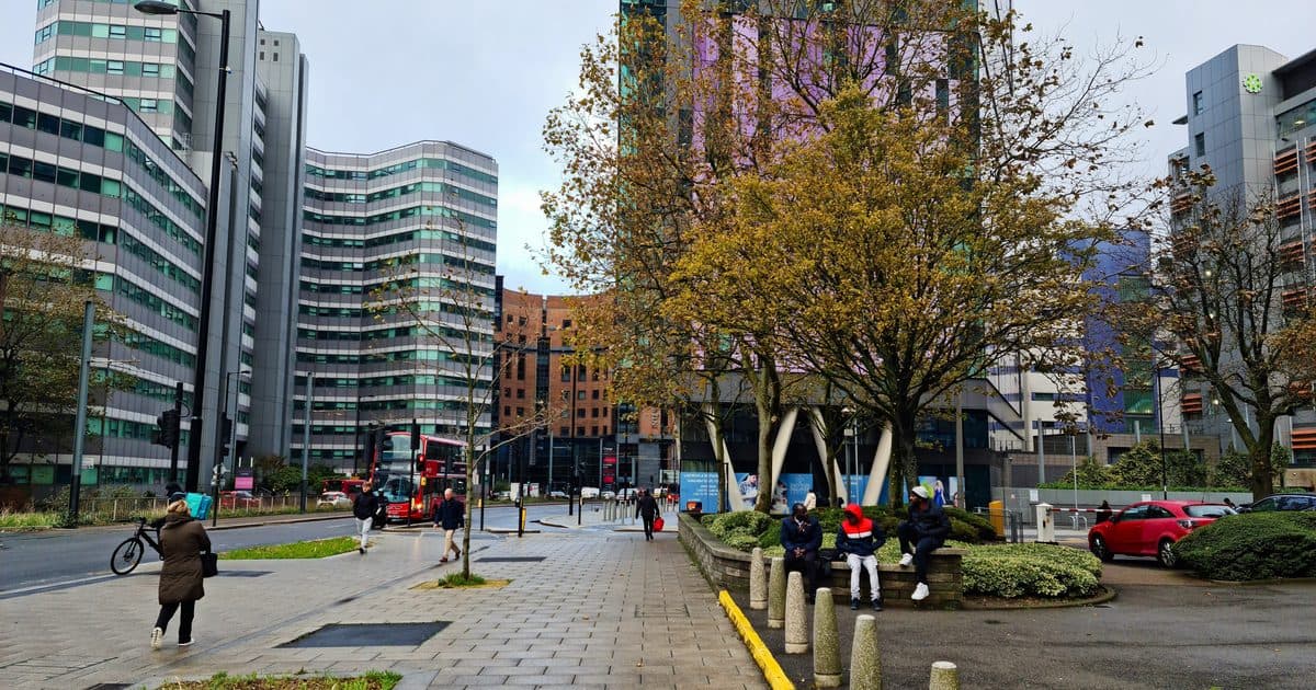 Croydon council bulky waste: alternatives compared